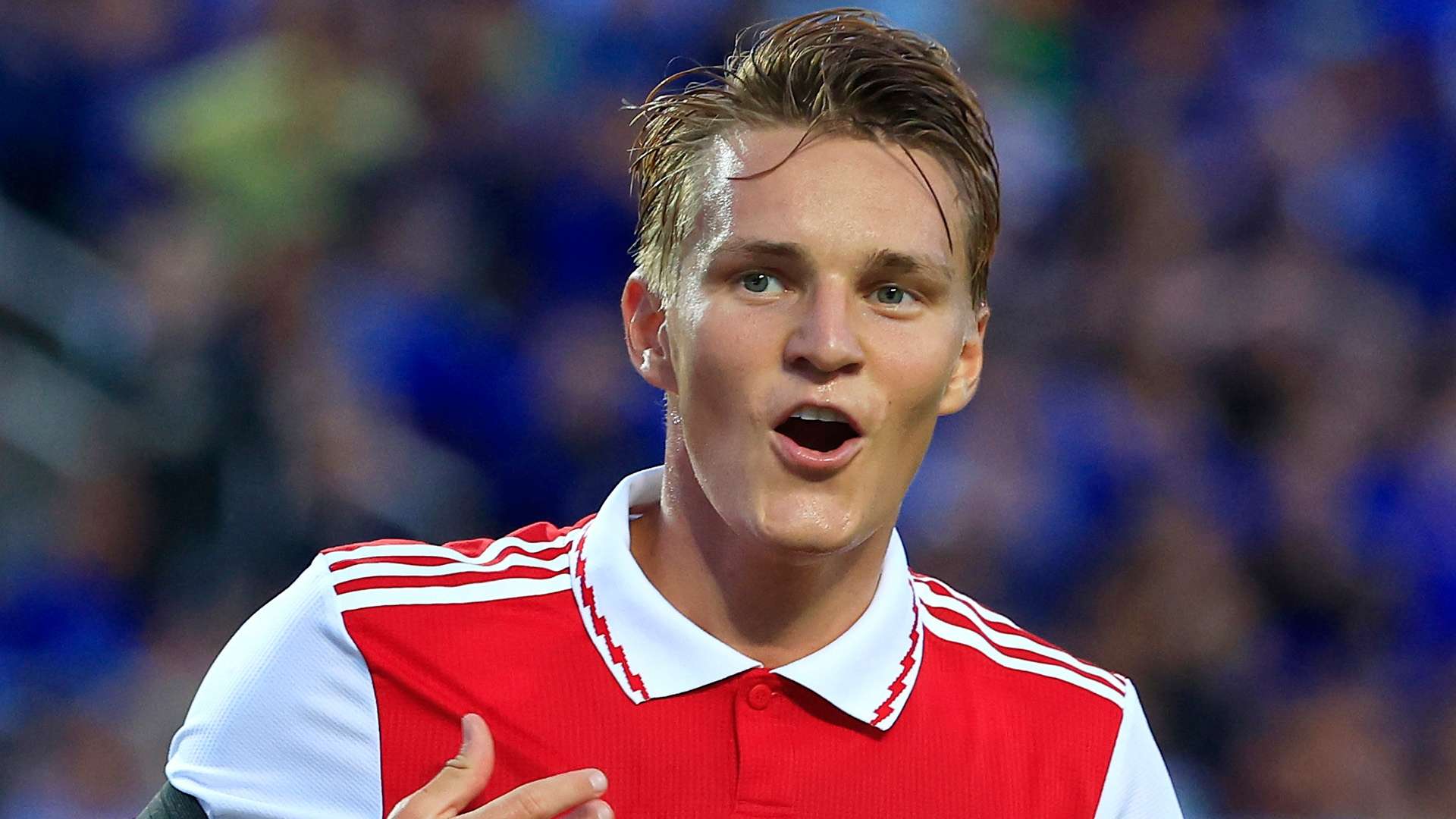 他们的感情 他们的感情