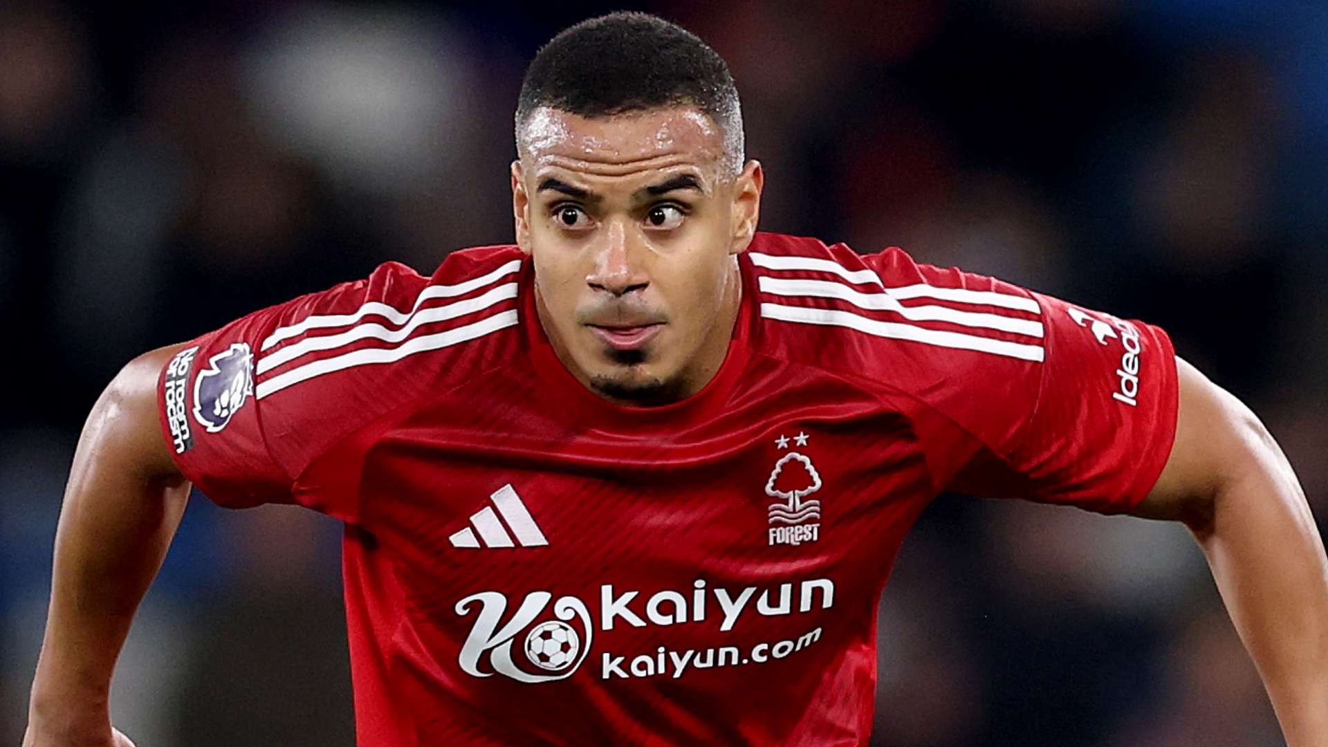 他们在对手 他们在对手